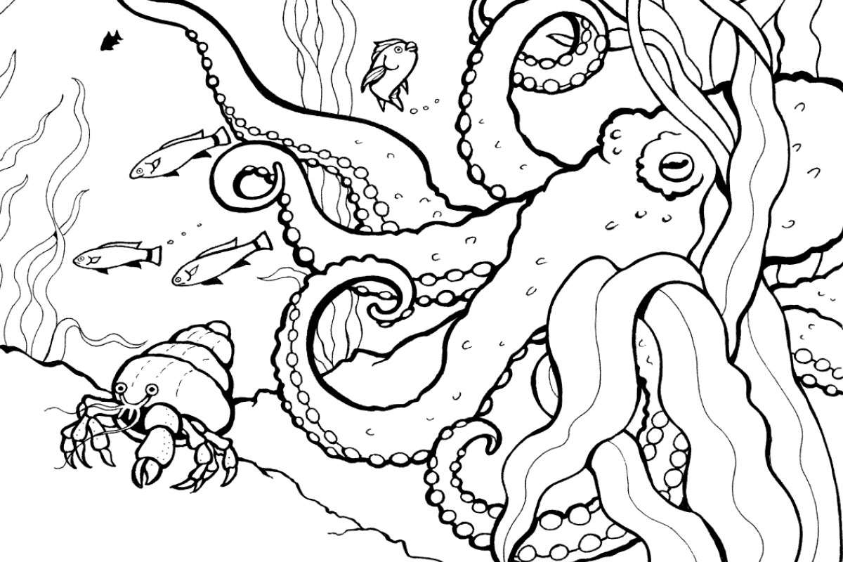 Details On Adult Coloring Pages Printable